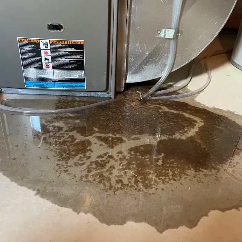 Appliance Leak Cleanup in Shelbyville, KY